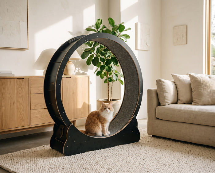 Fits your living room