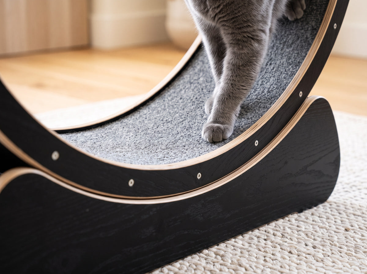 Close-up of the carpeted track and wheel lock of the PURRSTRIDE wheel